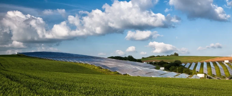 Große Photovoltaikanlage von DWD Solartechnik auf landwirtschaftlicher Fläche unter blauem Himmel.