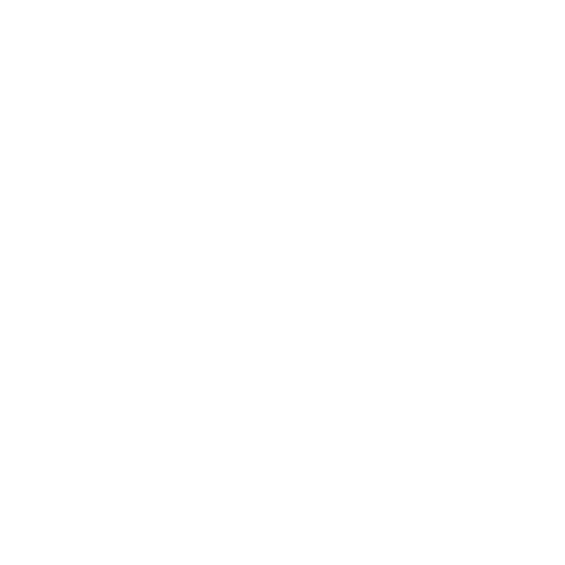 shield icon